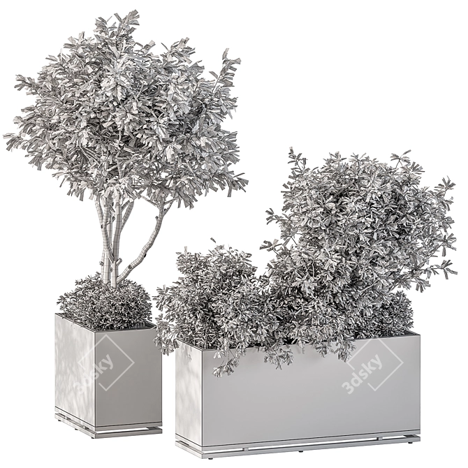 Outdoor Plants Collection Box 3D model image 7