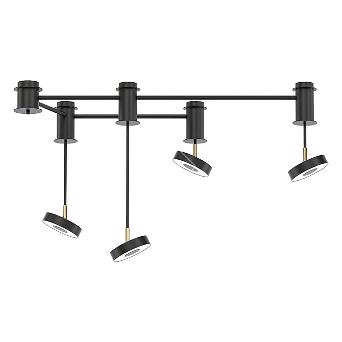 Black Ceiling Lamp with 4 Fixtures 3D model image 1