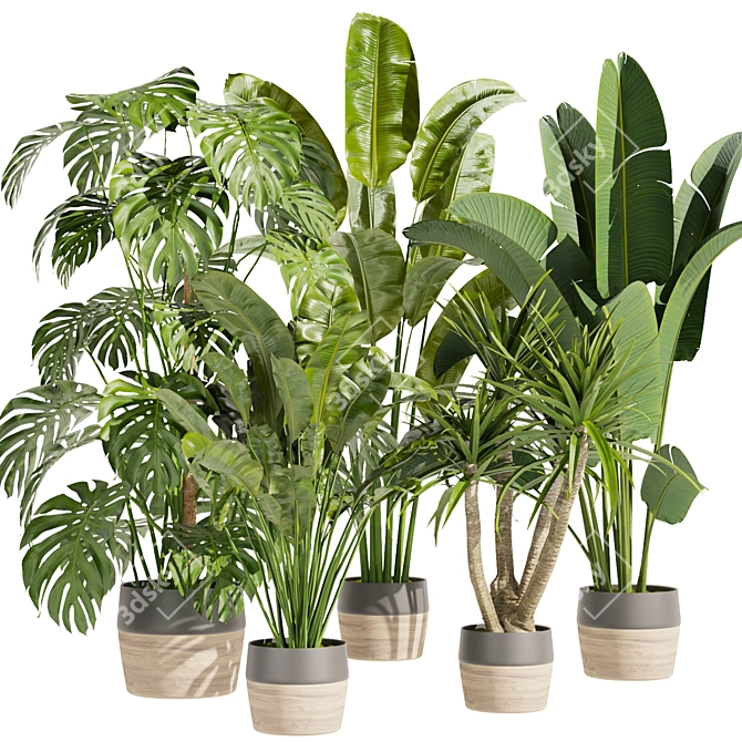 Premium Indoor Plant Collection Vol.452 3D model image 1