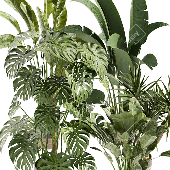 Premium Indoor Plant Collection Vol.452 3D model image 2