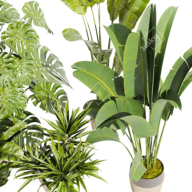 Premium Indoor Plant Collection Vol.452 3D model image 3