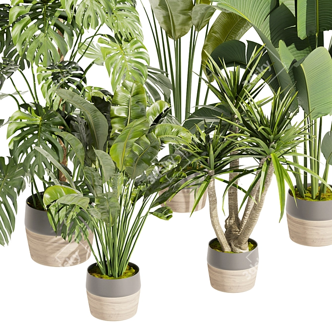 Premium Indoor Plant Collection Vol.452 3D model image 4