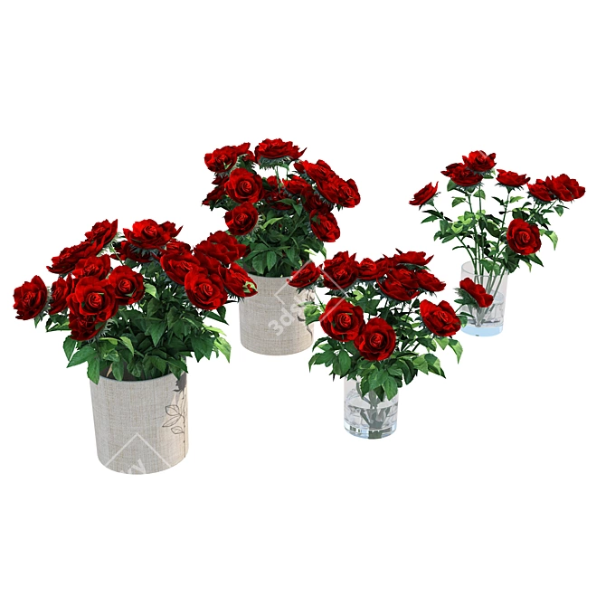 Red Rose Vases Set Beauty 3D model image 4