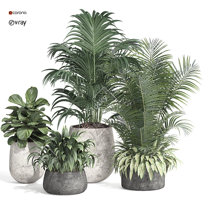 Modern Indoor Plant Set Collection 3D model image 1