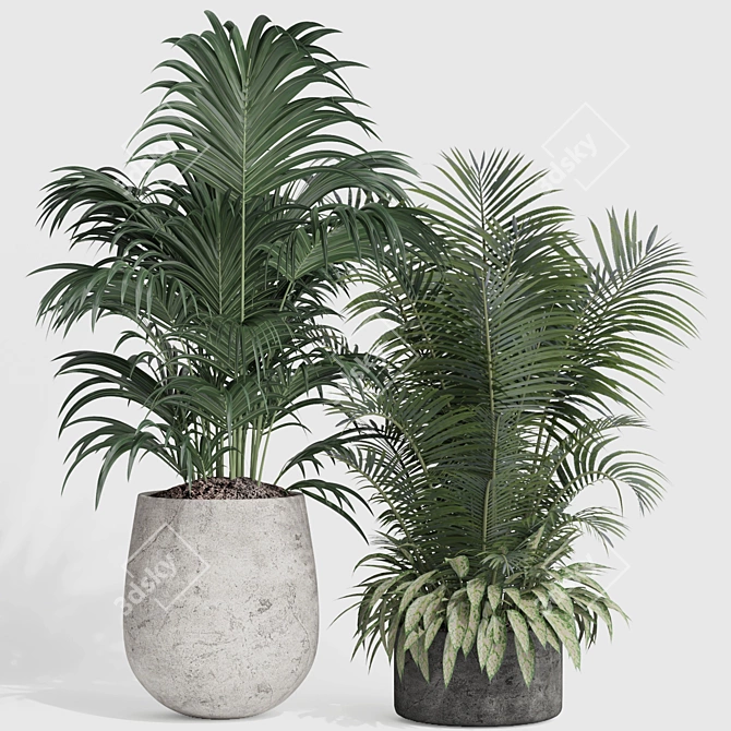 Modern Indoor Plant Set Collection 3D model image 3