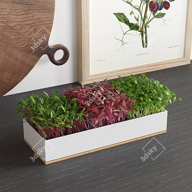 Mini Herb Garden Decor Set 3D model image 2