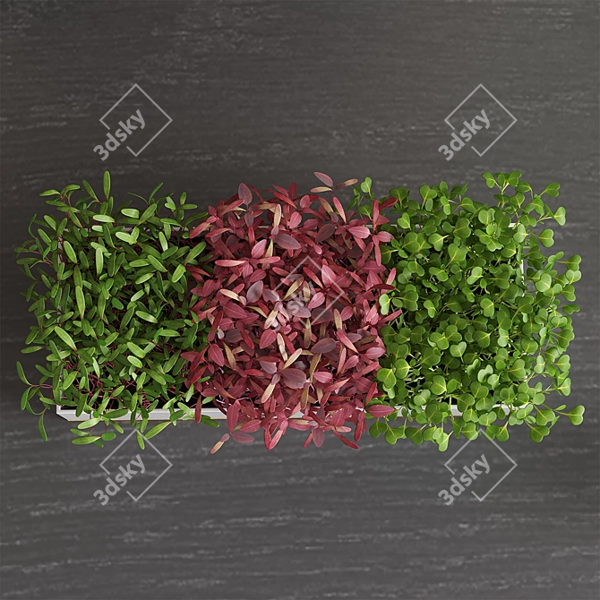 Mini Herb Garden Decor Set 3D model image 3