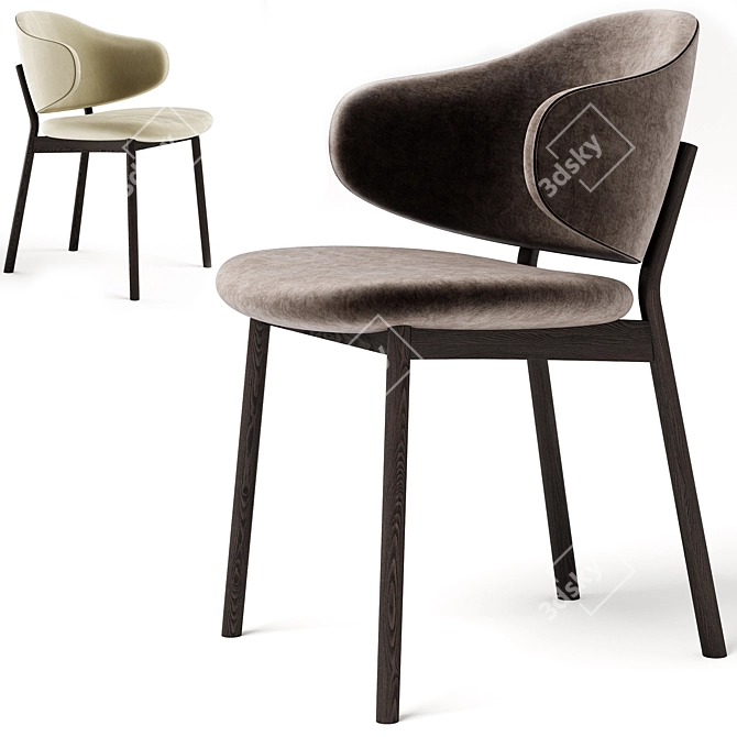 Modern Holly Chair by Calligaris 3D model image 2