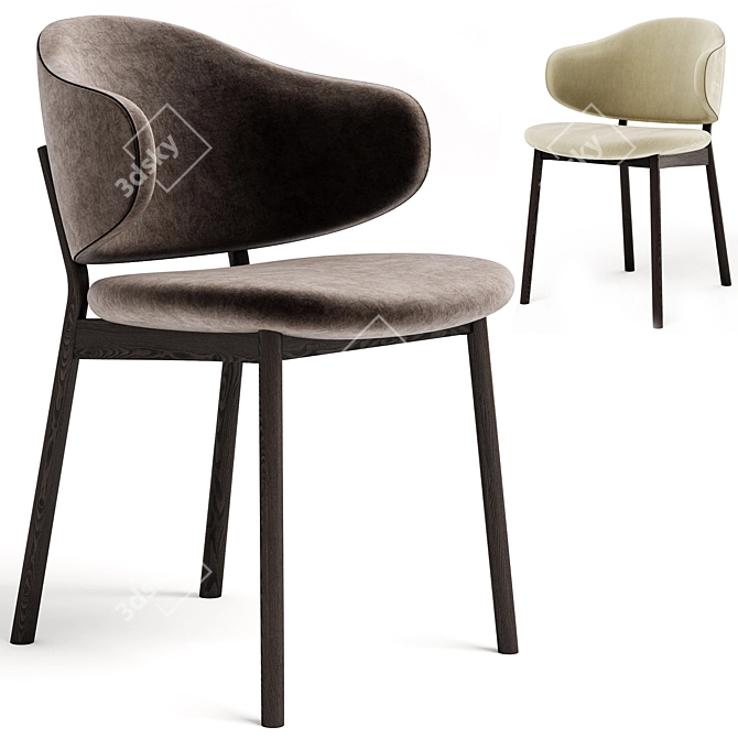 Modern Holly Chair by Calligaris 3D model image 4