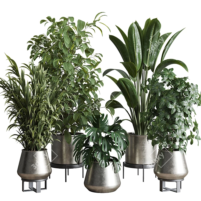 Multifarious Indoor Plant Set 3D model image 1