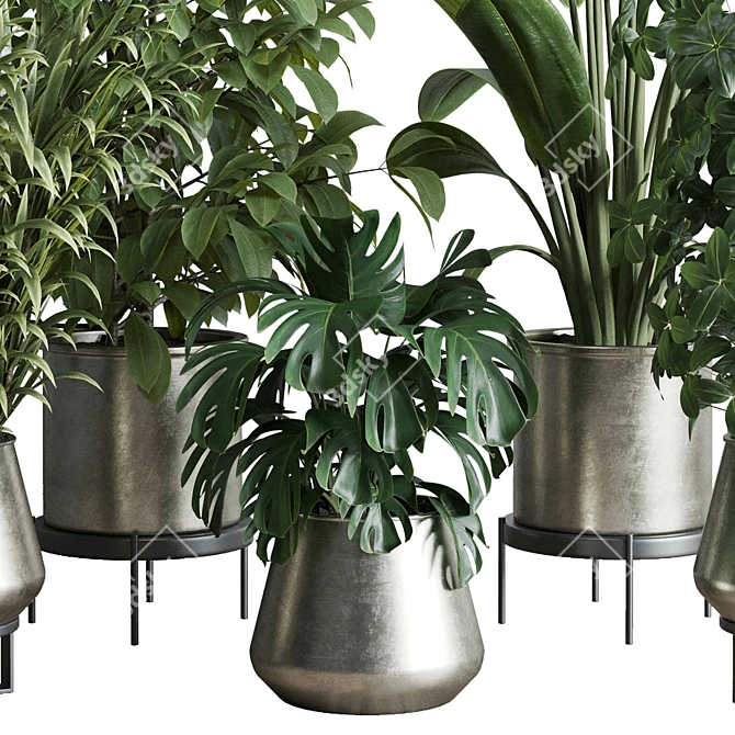 Multifarious Indoor Plant Set 3D model image 2