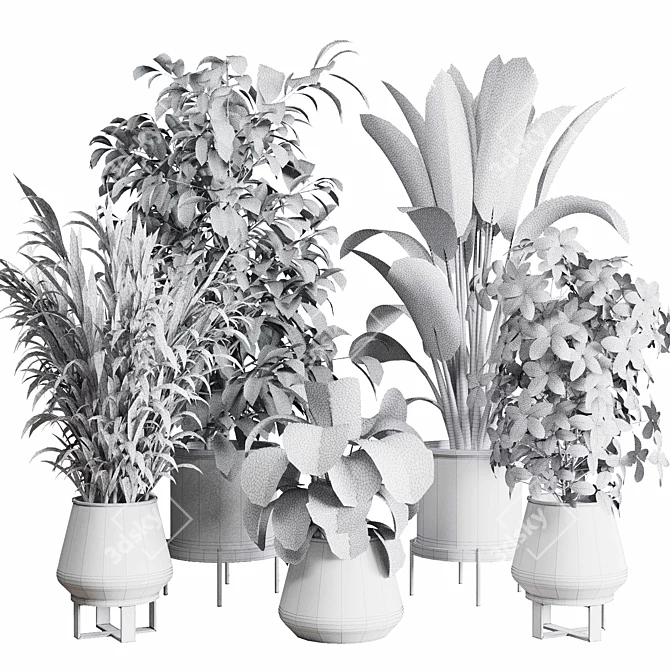 Multifarious Indoor Plant Set 3D model image 7