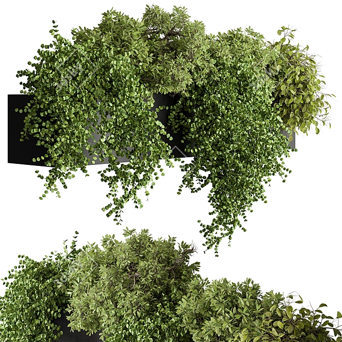 Translation is not required. 

Hanging Plant 476 - Indoor Beauty 3D model image 1