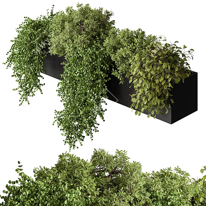 Translation is not required. 

Hanging Plant 476 - Indoor Beauty 3D model image 2