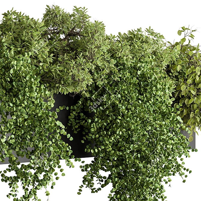 Translation is not required. 

Hanging Plant 476 - Indoor Beauty 3D model image 3