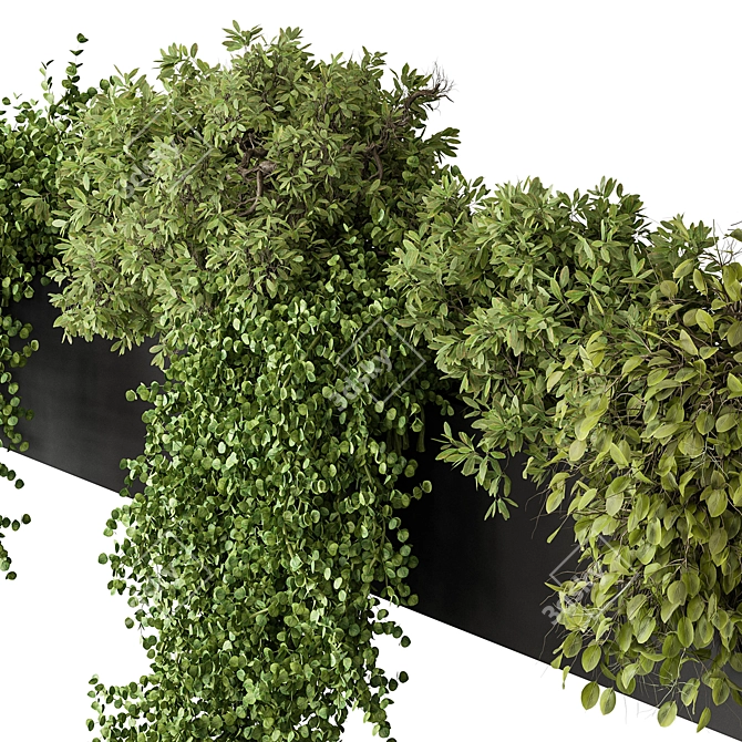 Translation is not required. 

Hanging Plant 476 - Indoor Beauty 3D model image 4