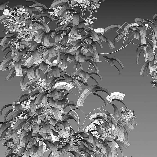 Clematis 3D Plant Models Solution 3D model image 4