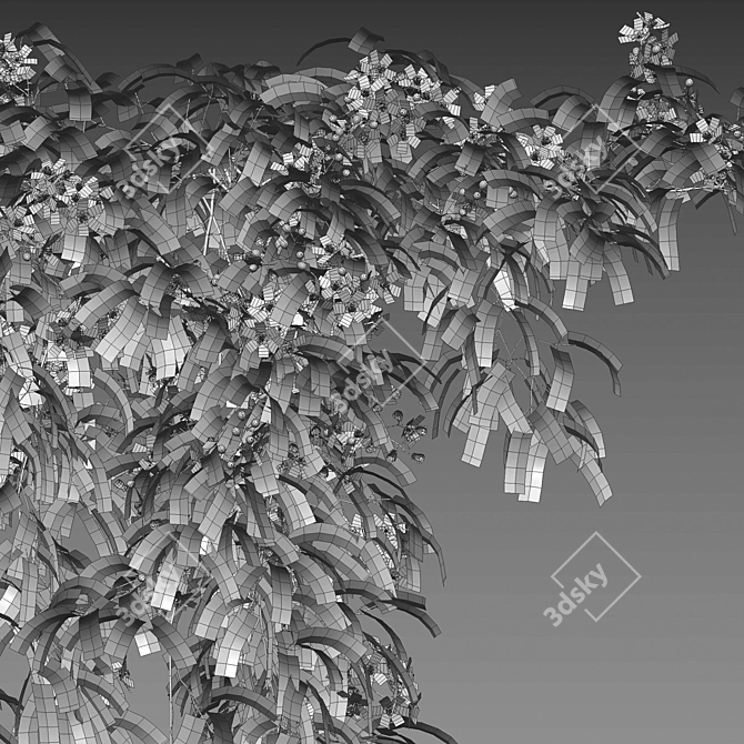 Complete 3D Clematis Plant Collection 3D model image 4