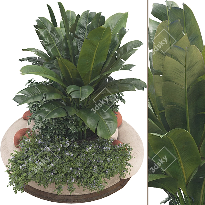 Plant Collection Decor Set 3D model image 2