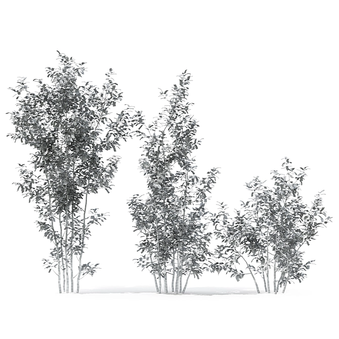 Forest Greenery 3D Tree Model 3D model image 4