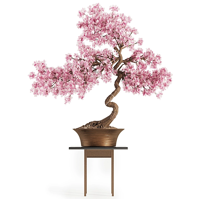 Blooming Bonsai Spring Flowers 3D model image 1