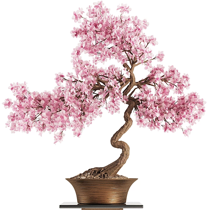 Blooming Bonsai Spring Flowers 3D model image 2