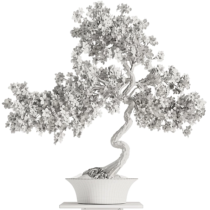 Blooming Bonsai Spring Flowers 3D model image 3