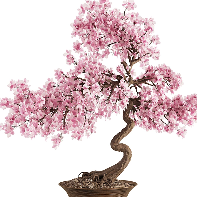 Blooming Bonsai Spring Flowers 3D model image 4