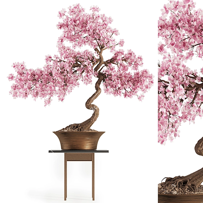 Blooming Bonsai Spring Flowers 3D model image 5