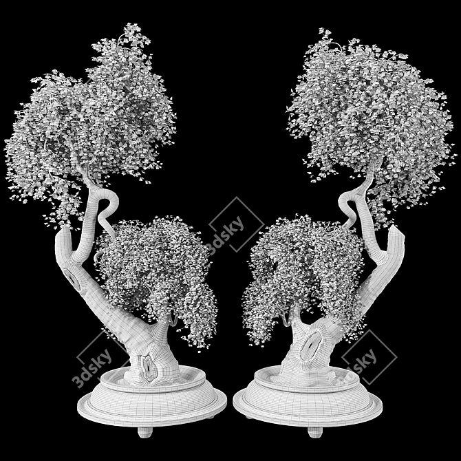 Bonsai Tree 3D Model Collection 3D model image 7