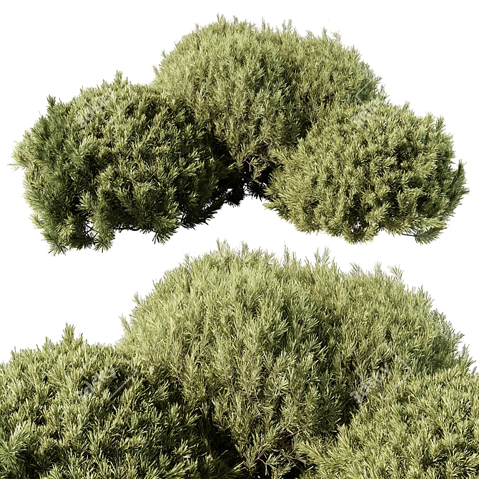 Grass Topiary Ball Plant 111 3D model image 1