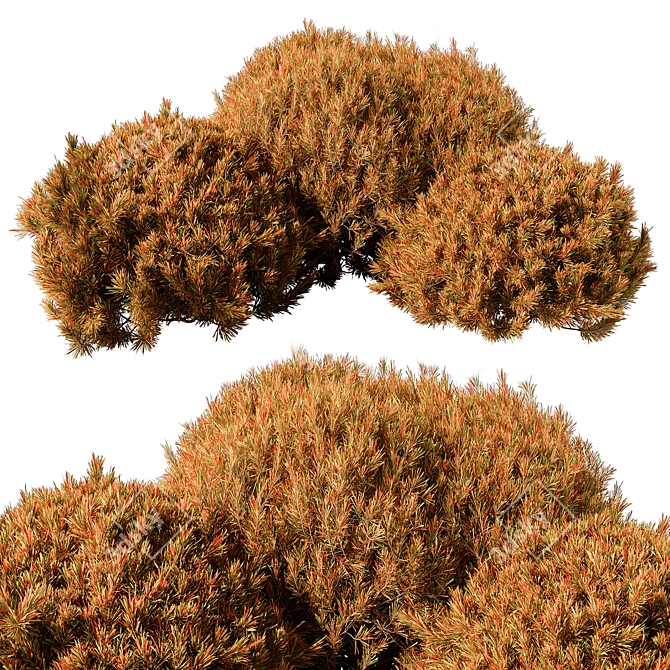 Grass Topiary Ball Plant 111 3D model image 2