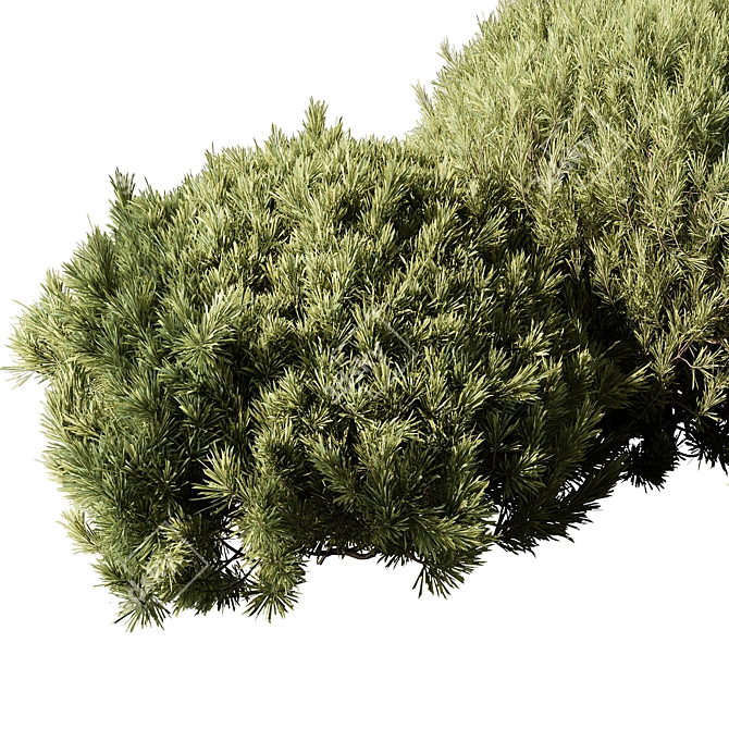 Grass Topiary Ball Plant 111 3D model image 3