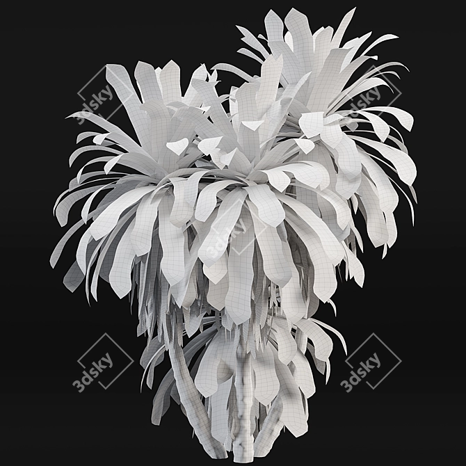 Tropical Palm Tree 3D Model 3D model image 4