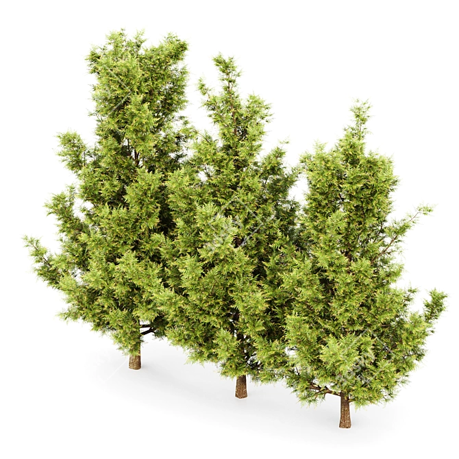 Versatile 3D Plant Models Set 3D model image 3