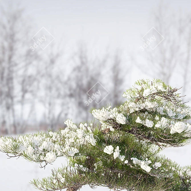 Winter Pine Duo Set, 2m 3D model image 4