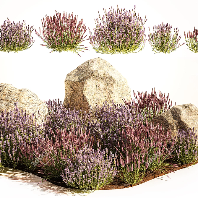 Lavender Bush Collection for Landscaping 3D model image 2