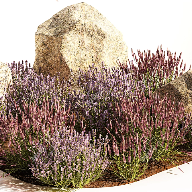 Lavender Bush Collection for Landscaping 3D model image 4