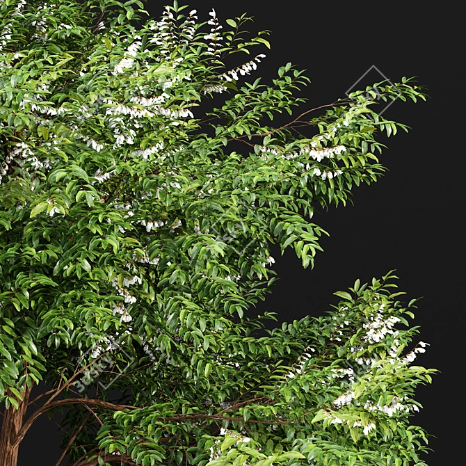 Lush 3D Tree Models Bundle 3D model image 2