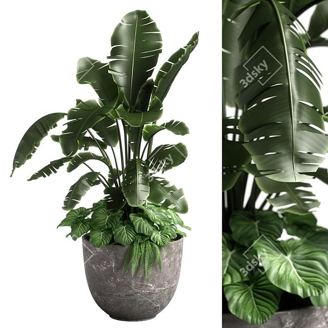 Versatile Combo Plant Models Pack 3D model image 1