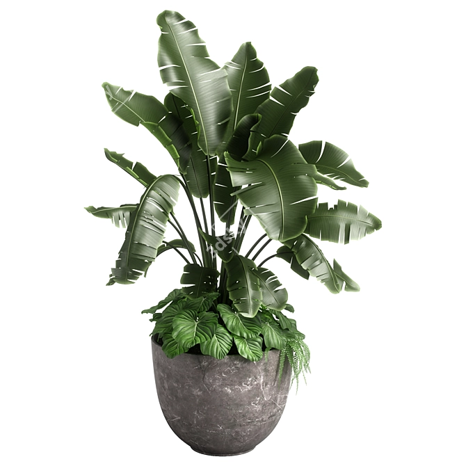 Versatile Combo Plant Models Pack 3D model image 2