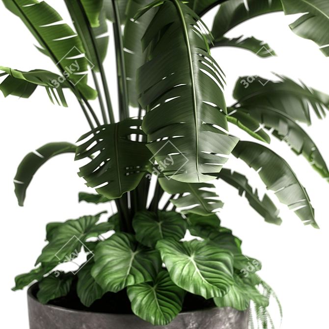 Versatile Combo Plant Models Pack 3D model image 6