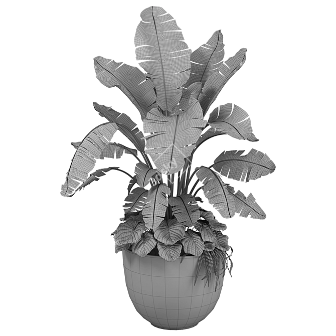 Versatile Combo Plant Models Pack 3D model image 7