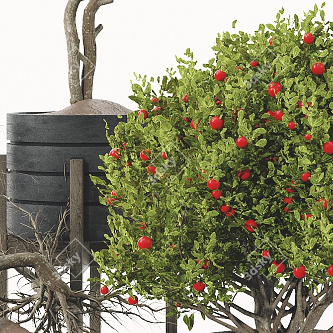 Fruit Tree Plant Collection Set 3D model image 2