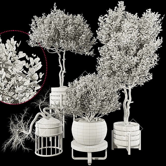 Fruit Tree Plant Collection Set 3D model image 7