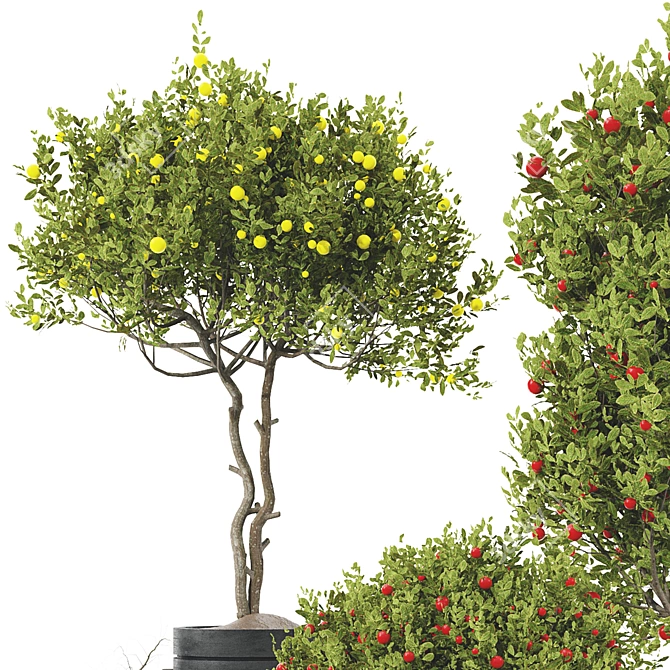 Fruit Tree Plant Collection Set 3D model image 11