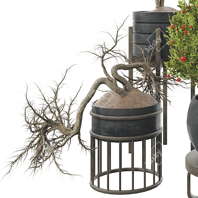 Fruit Tree Plant Collection Set 3D model image 12