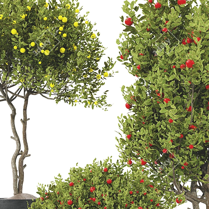 Fruit Tree Plant Collection Set 3D model image 14