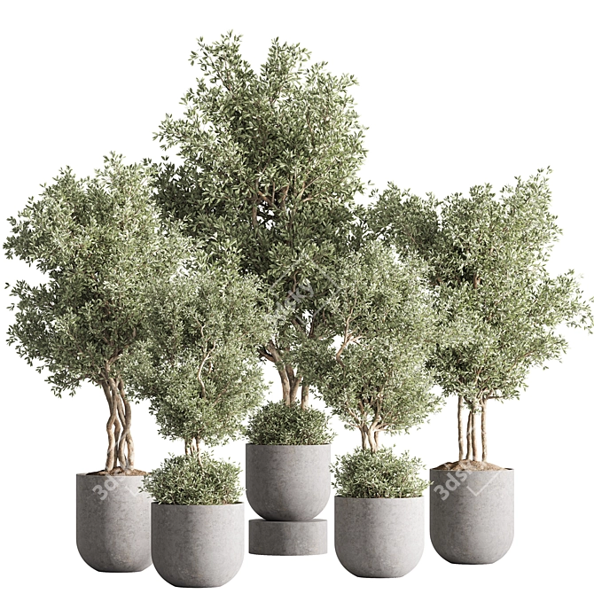 Modern Vray Indoor Plant Set 3D model image 1