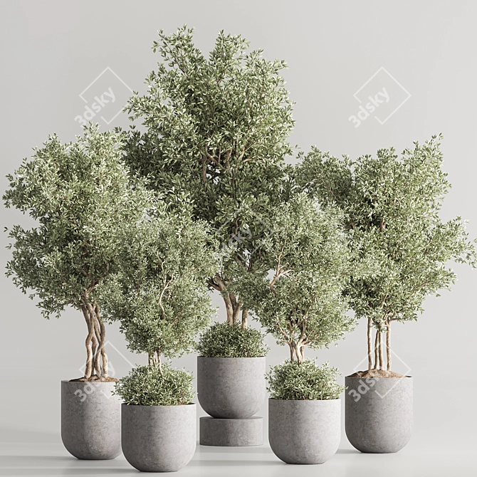 Modern Vray Indoor Plant Set 3D model image 2